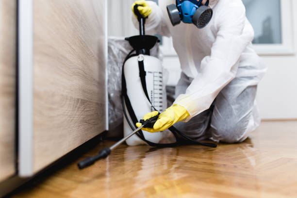 Flea Control Services in Lena, IL