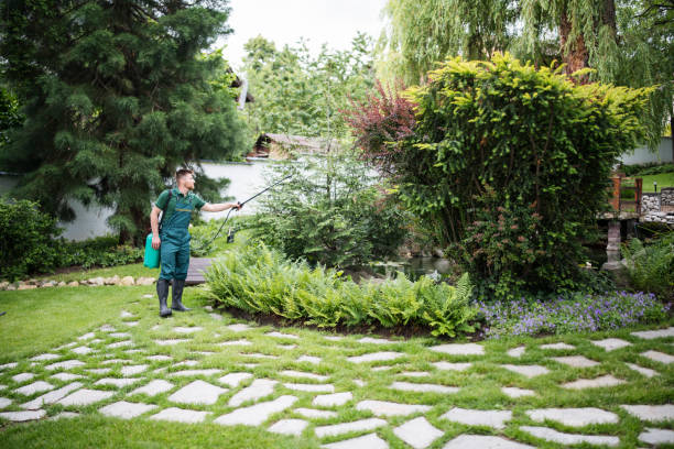 Best Affordable Pest Control Services  in Lena, IL