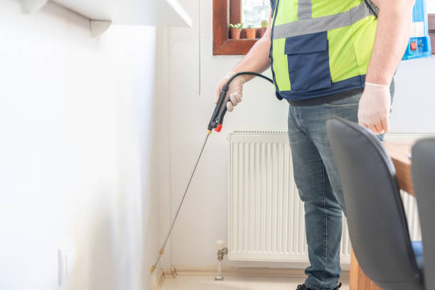 Best Wasp Removal Services  in Lena, IL