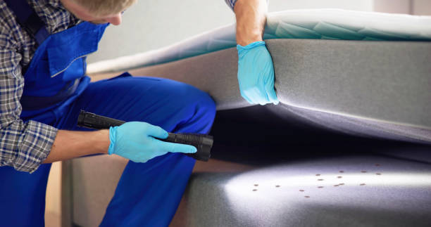 Best Best Pest Control Companies  in Lena, IL