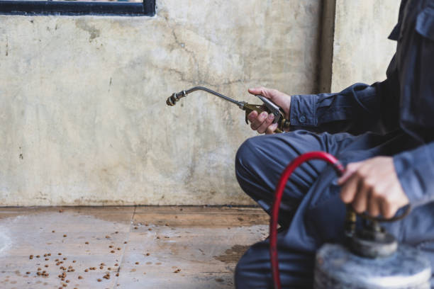 Best Ant Control Services  in Lena, IL